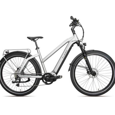 China New Arrived 2023 Aluminum Alloy City Electric Bike 36V250W For Adult 700C*40C 36V13AH for sale