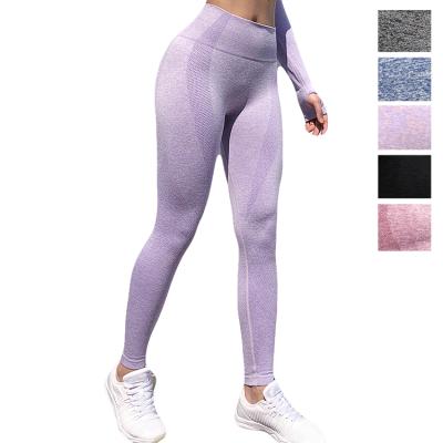 China 2020 Newest Breathable Women Seamless Sports Yoga Workout Tights Pants Gaiters for sale