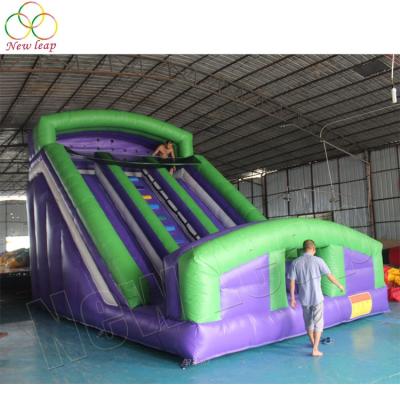 China As Picture Or Your Request Giant Commercial Inflatable Double Slide Inflatable Dry Lane Slide For Sale for sale