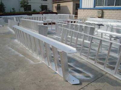 China Marine Vertical Ladder for sale