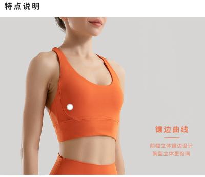 Chine Vêtements de sport à dos croisé à double face en brossage à vendre