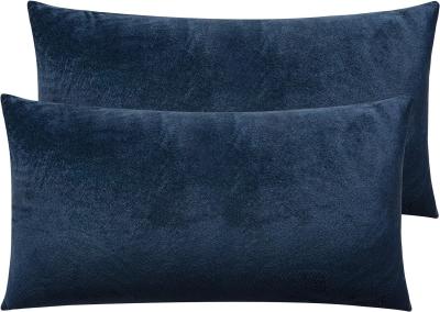 China NTBAY 2 Pacotes de almofadas Velvet King com fecho fechado, super suave e aconchegante Luxury Fuzzy Flannel Pillow Cases com fecho fechado, 20x36 à venda