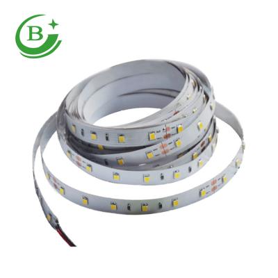 China Hot Selling Party Products 60 leds/m DC12V SMD 2835 RGB Flexible Led Strip for sale