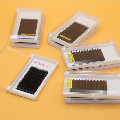 China Supply Premium Manufacturer Full Volume Eyelash Extension Silk Eyelash Extensions for sale