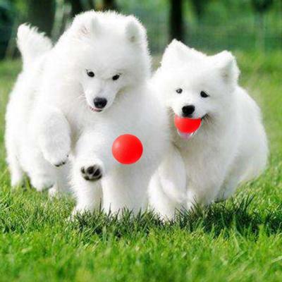 China Viable 3 Sizes Bite Ball Heavy Duty Rubber Elastic Squeaky Dog Toys Puppy Training Toys for sale