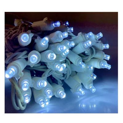 China Curtain Lights 120v Decoration Christmas Lights Icicle 10m 100 LED Indoor Christmas Windows Curtain String Light for sale