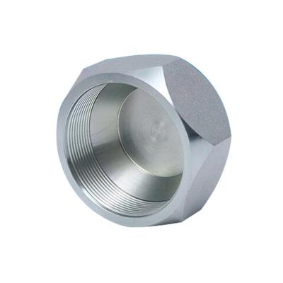 China Carbon Steel Hex C45/S45C Carbon Steel 5/8 3/4 JIC/12AN Thread Blocking Pipe Fitting for sale