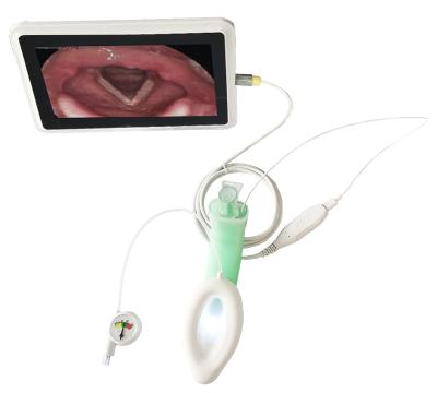 China Video Intuberen Larynx Luchtweg Siliconen Dubbel Lumen Larynx Masker Luchtweg Medische Materialen Accessoires3.0 # Te koop