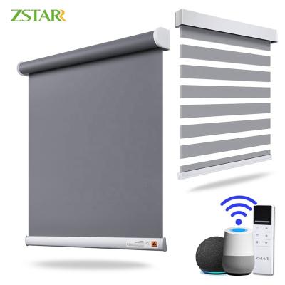 China Alexa Industrial Smart Electric Roller Blind Curtain Motorized Roller Shade For Windows for sale