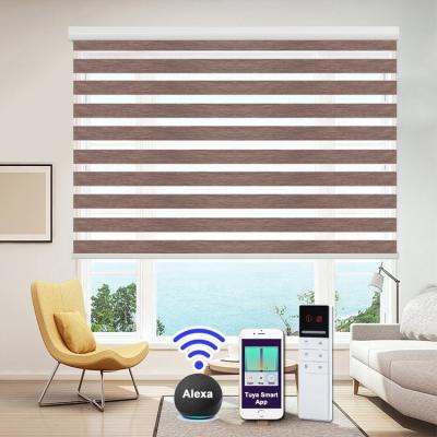 China Eclectic Smart Home Decor Electric Double Blinds Motorized Zebra Roller Blind Curtain for sale