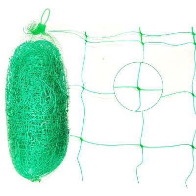 China Factory Climb PP Plastic Plant Trellis Tying Netting For Pea Bean Cucumber Climbing for sale