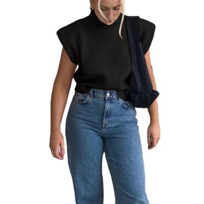 China 2021 Women's Clothing Seller Turtle Neck Breathable Elegant Pullover Sweater Sleeveless Sweaters for sale