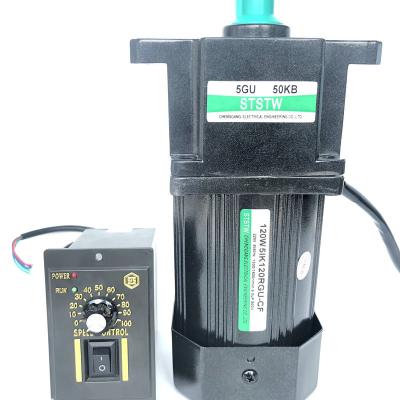 China 120W 110V 220V AC Motor Speed ​​Regulating Motor with AC Motor Speed ​​Controller and Fan 5IK120RGU-CF for sale