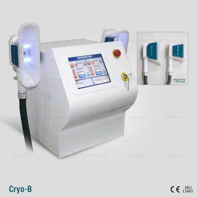 China Cryolipolysis slimming freezing machine for bodyshap with 2 handles woking at same time for sale