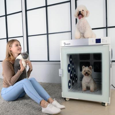 China Kabinett-Hundehaartrockner-Maschine negativer Ion Bath Near Infrared Therapy zu verkaufen