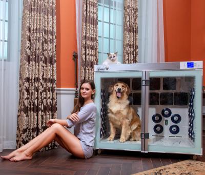 China ventiladores más secos de la jaula 6 del animal doméstico de 220V 2500W de poco ruido para la preparación del perro en venta