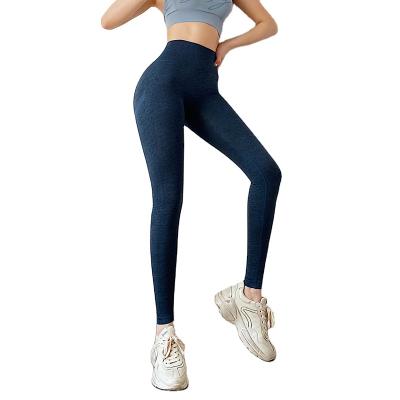 China Viable Gym Seamless Yoga Gaiters Legging Fitness Clothing Breathable Sporty Yoga Pants for sale