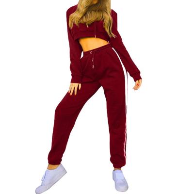 China Autumn Winter Women Sports Suits Breathable Women Sleeve Long Hoodies Sweatshirt Tops Pants Sports Set for sale