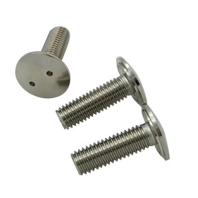 China High Quality Flat Machine Stainless Steel Anti Theft Screw With Two Holes for sale