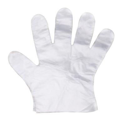 China Food grade universal disposable clear transparent pe kitchen cleaning plastic glove for sale