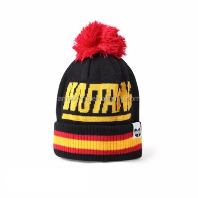 China JOINT Jacquard Knit Pom Beanie With Embroidery Beanie Hat for sale