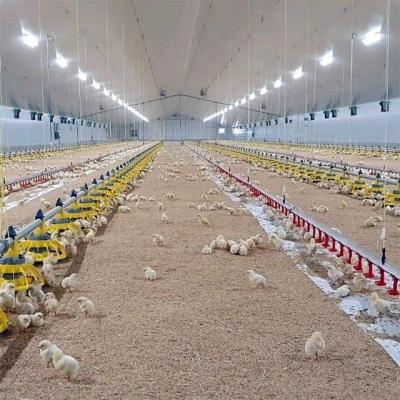 China Fully Automatic Long Feeding Line System Farm Lifetime Equipment Pan Feeder Nipple Drinker Poultry for sale