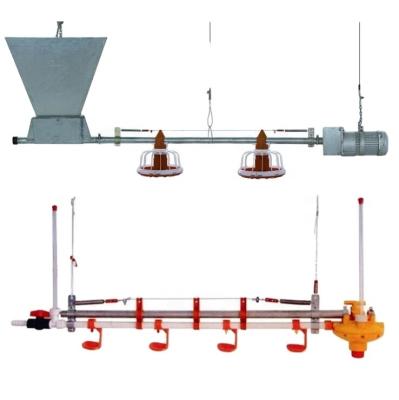 China Poultry Farm Chicken Feeding Chicken Raising Equipment Flat Raising Chicken Automatic Feeding System for sale