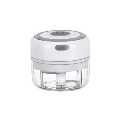 China Kitchen ABS White/High Quality Pink/Blue Electric Garlic Mini Chopper for sale