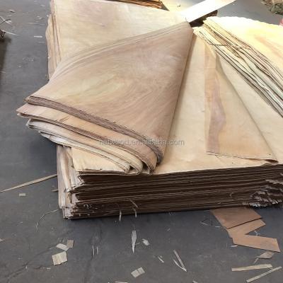 China Decorative Plywood Poplar Birch Oak Wood Veneer For Door Skin for sale