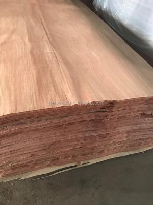 China Natural Plywood Sapelli / Sapele Veneer Made In China , Rotary Cut Veneer for sale