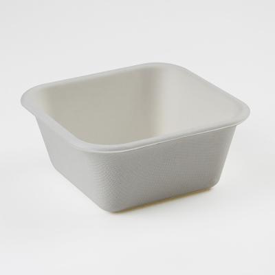 China 250ml Modern Bagasse Pulp Lunch Set Modern Style Take Away Disposable Sugarcane Bagasse for sale