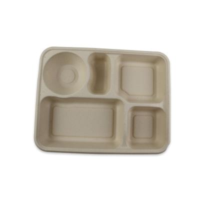 China 5 Compartment Modern High Quality Bagasse Food Container Lunch Box Bamboo Bagasse Lunch Trays for sale