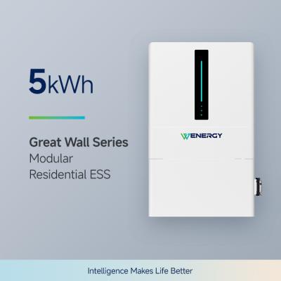 China Protección BMS Batería de almacenamiento de energía para el hogar 5kw, Batería para el hogar en venta