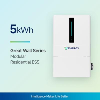 China Sistema de almacenamiento de energía de batería residencial Batería de litio Almacenamiento en el hogar 5kwh en venta