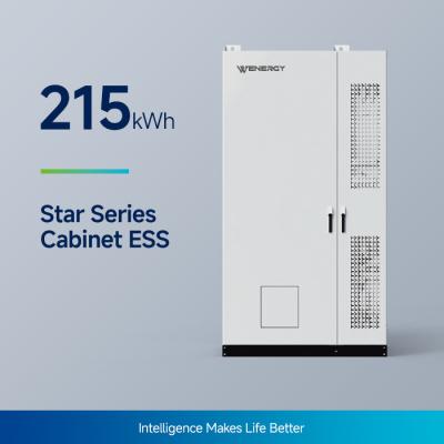 China Star Series 100KW/215KWh All-In-One BESS Battery System zu verkaufen