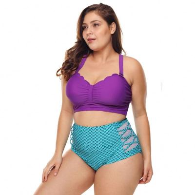 China Plus Size In Large Bikini XL Swimming Suit Swimwear Woman Plu Size Running Swimwear for sale