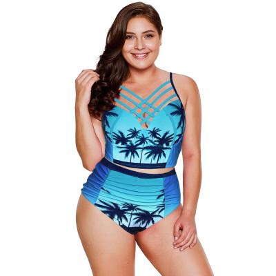 China Plus Size Morden Style Plus Size Swimsuit Woman Big Strap Sexy Sling Bikini Swimwear 2021 for sale