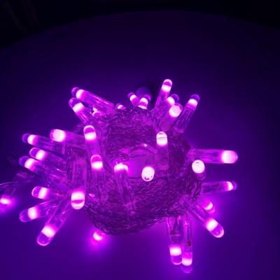 China Christmas/Halloween/Valentine/Government Easter/New Year design new projects new year decoration PVC coating fairy LED string light for sale