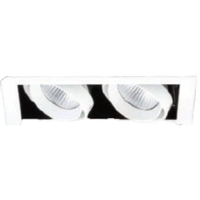 China Modern RTS 225x130mm Manufacturer Supplier Led Downlight Two Head Hotel Recessed Led Downlight for sale