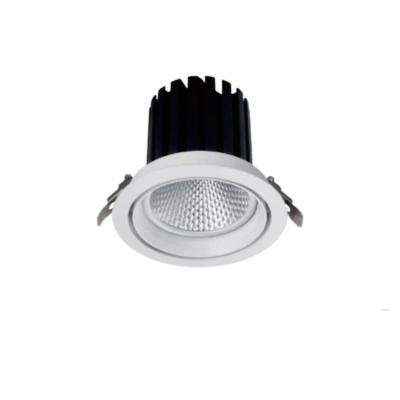 China Industrial Promotional Warranty 30w RTS Downlight 135mm 2 Years Hole Size Recessed COB Led Downlight for sale