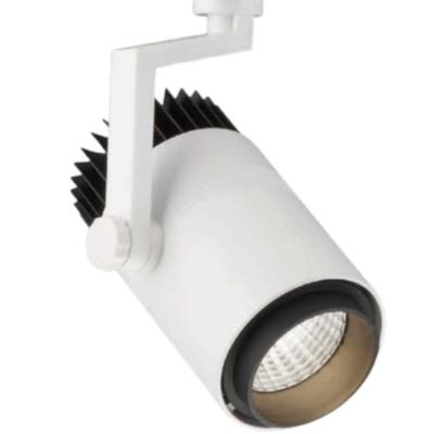 China Factory Supply 25w Commercial Sector RTS Track 3000k Warm Cool White Graphite Light Fixture for sale