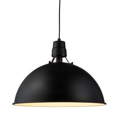 China Morden Design Morden Pendant Light for sale