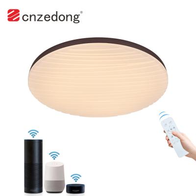 China Factory Wholesale Contemporary Cheap Modern Mainstream China Delicate Smart Control Led Ceiling Lamp for sale