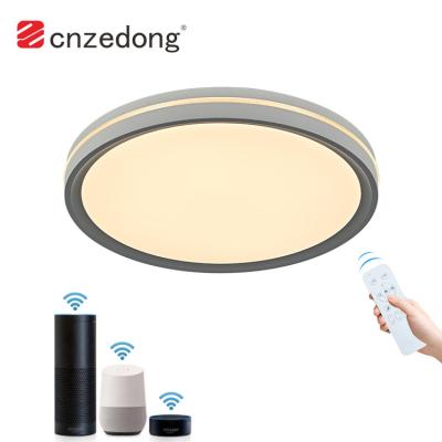 China Modern Professional Indoor Ultrathin Bedroom Lighting 24W 48W Smart RGB Led Ceiling Lamp for sale