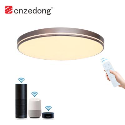 China Modern Bedroom Smart Dimmable Intelligent Voice Control 24w 48w Led Ceiling Light for sale