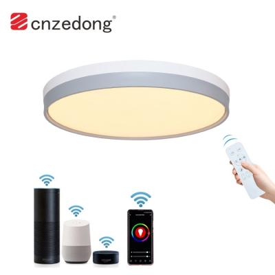 China High Brightness Modern European Dining Room 24w 48w PIR Remote Control Smart Led Ceiling Light for sale