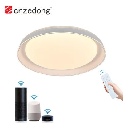 China Modern Modern Home PMMA Lamp Shade 24w 48w Living Room Led Round RGB Dimmable Ceiling Lamp for sale