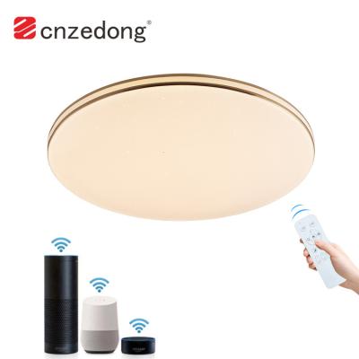 China Modern Design China Home Round Iron Professional Paint Smart Dimmable RGB Modern Led Ceiling Light for sale