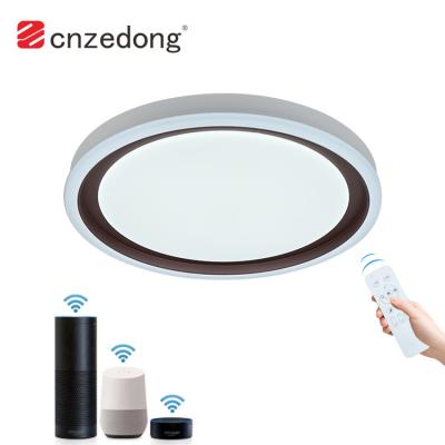 China Modern Modern Style Iron Outdoor Mounted Painting Smart Wifi PIR Control Led Ceiling Light With 3 Years Warranty for sale