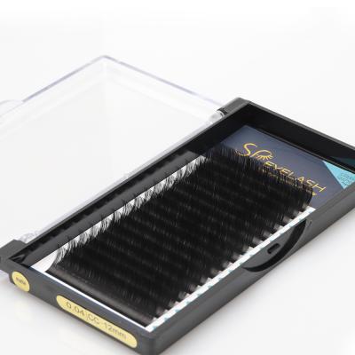 China Russia Soft Soft Silk Volume Eyelash Extensions In 0.03 0.05 0.07mm For Professional Use for sale